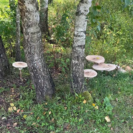 Сasa de vacaciones Z Bala Mazury Orzyny