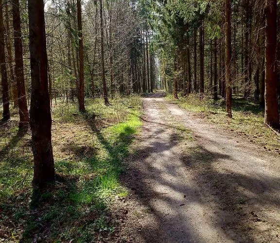 Z Bala Mazury Prázdninový dům *