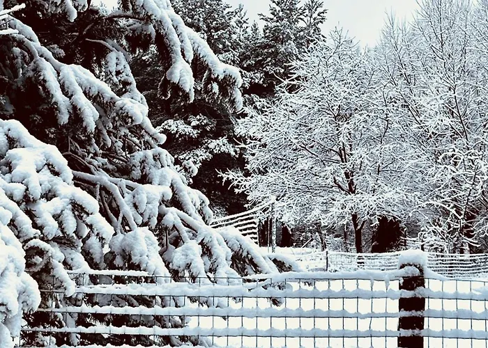 Prázdninový dům Z Bala Mazury